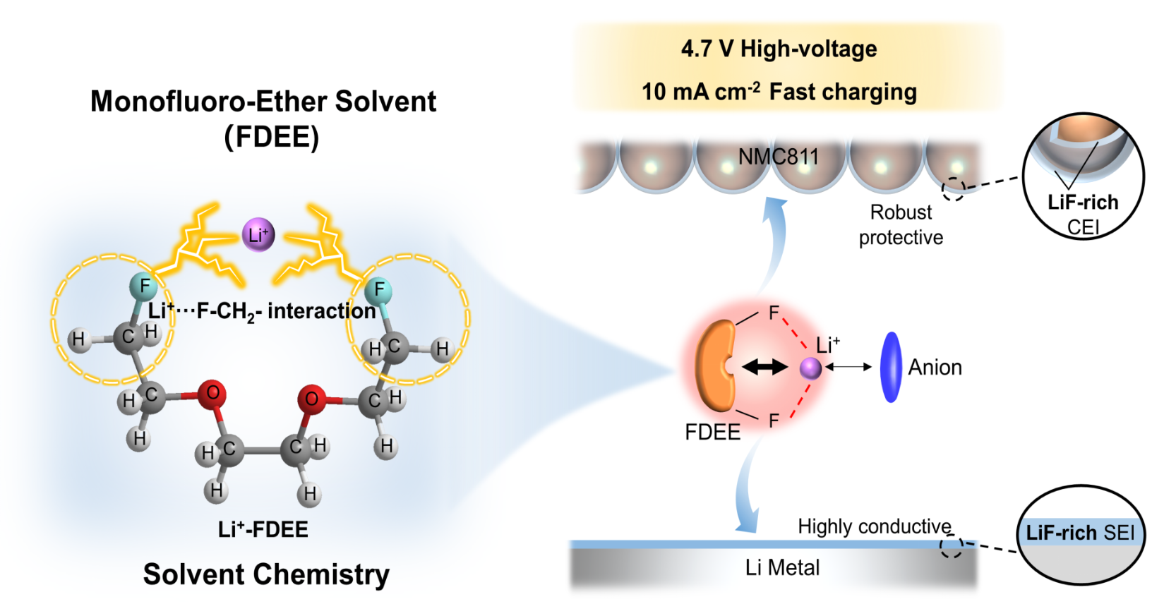 Our Work On Monofluoroether Electrolyte Design And Its Unique Solvent ...